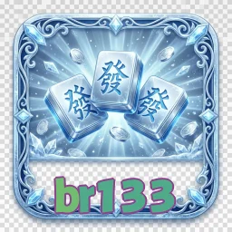 br133